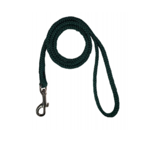 Dog Leash with Bolt Snap