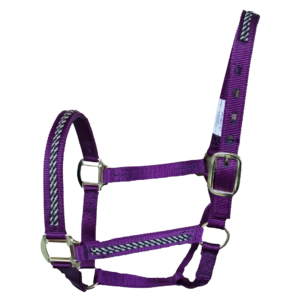 Nylon Halter With Braid Overlay