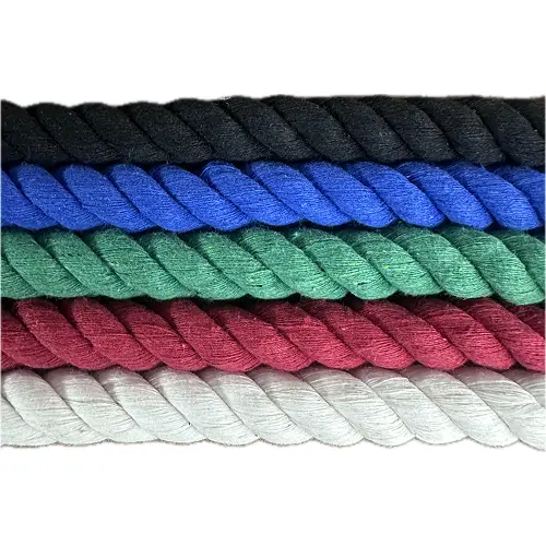 Twisted Cotton Leash - Image 2